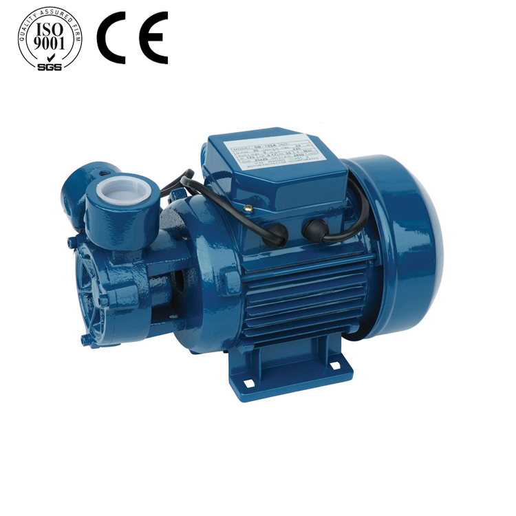 DB SERIES PERIPHERAL PUMP