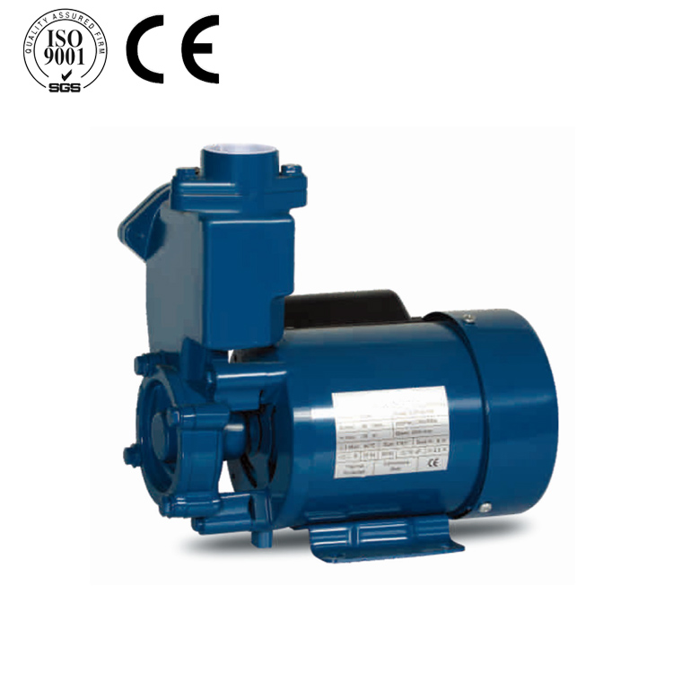 PS SERIES SELF-SUCKING PUMP